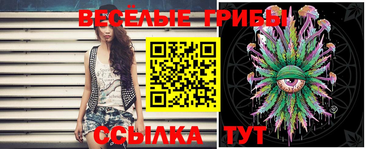 Кириши  Галлюциногенные грибы GOLDEN TEACHER  Вход с VPN 